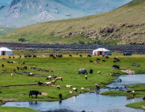 "몽골 고비사막과 테를지 6박 7일 여행 패키지 - ETE Travel Mongolia"